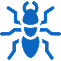 Termite