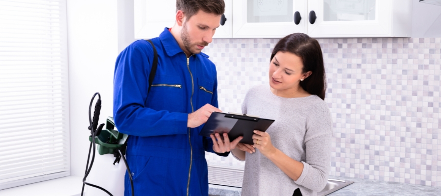 How Often Should You Get Pest Control? What Experts Recommend