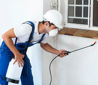 Pest Control Pricing Plans