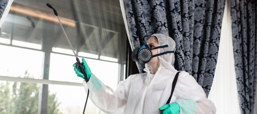 Say Goodbye to Silverfish: Expert Exterminators in Irvine, C