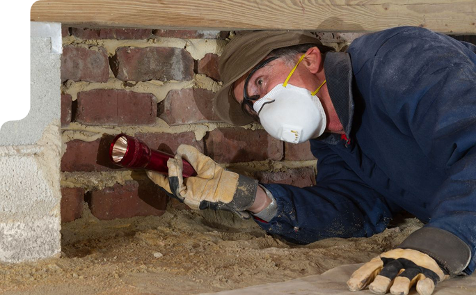 Termite Inspections