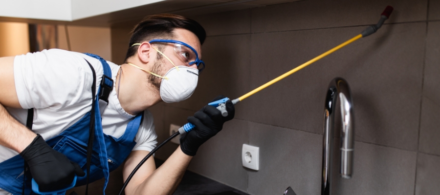 Top-Rated Brea Pest Control Experts: Keep Your Home Bug-Free