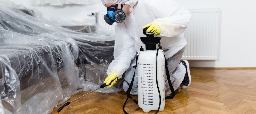 Top-Rated Rat Exterminators in Santa Ana: Reviews and Recommendations