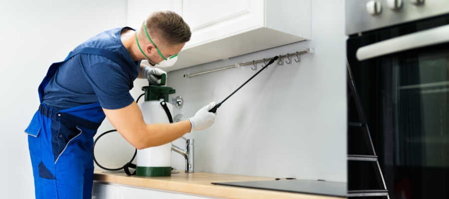 Top Rodent Control Solutions in Huntington Beach