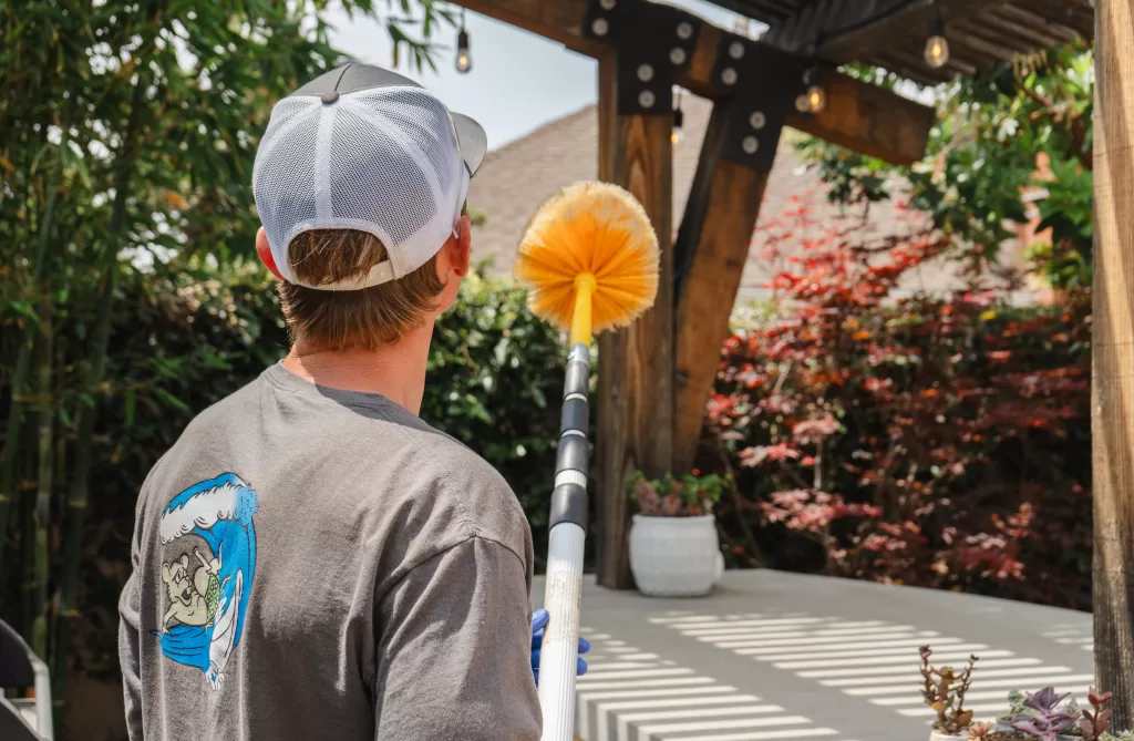 Residential Pest Control Services