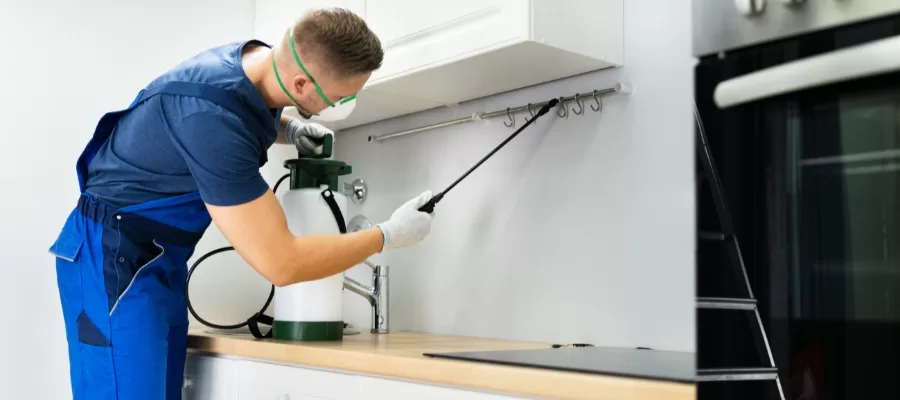 ant extermination anaheim