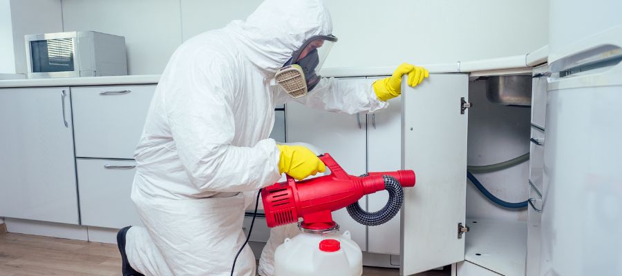 pest control fullerton