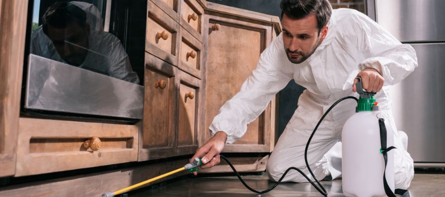 preventive pest control anaheim