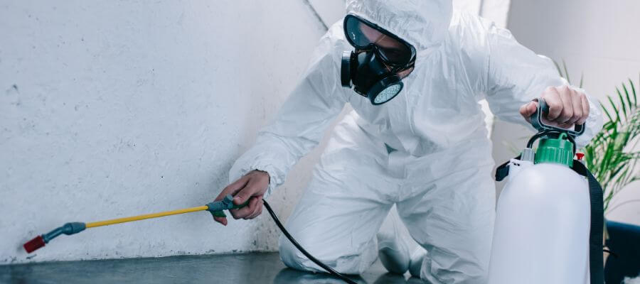 rat exterminators Costa Mesa