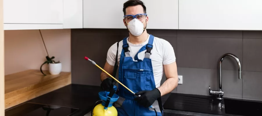 silverfish exterminator Irvine