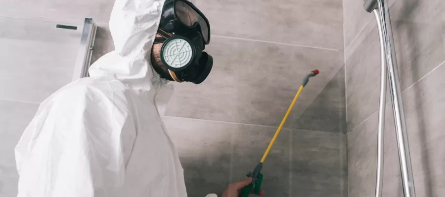 silverfish exterminator costa mesa