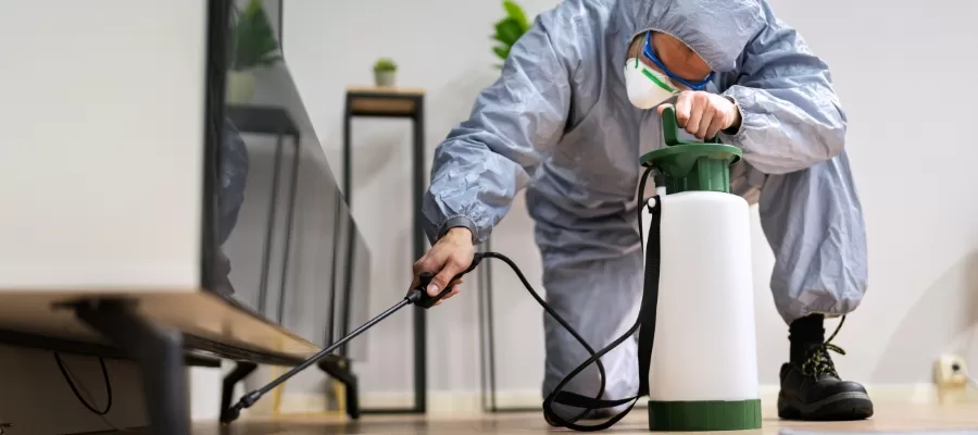 silverfish exterminator huntington beach