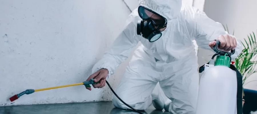 Commercial Pest Control Orange County
