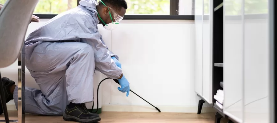 Commercial Pest Control irvine