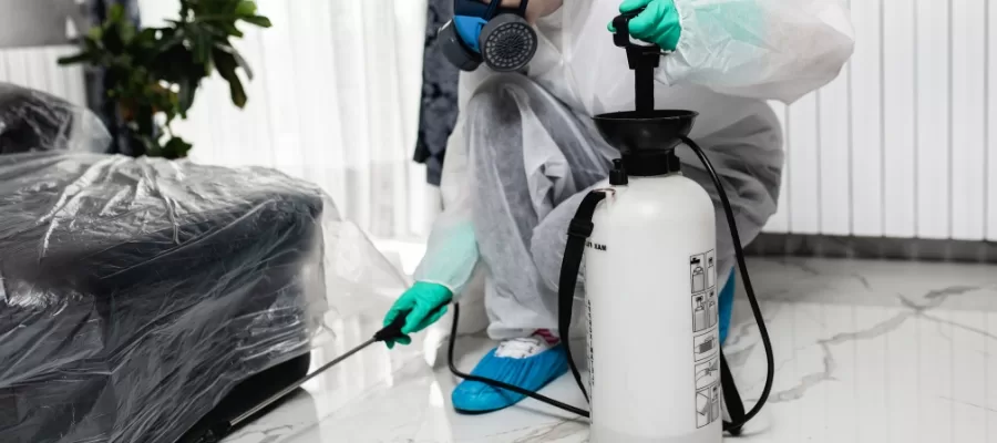 Mouse Exterminator in Orange County - Clear Your Home or Business of Rodents
