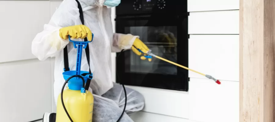 Rat Control in Orange County - Keep your Space Rodent Free