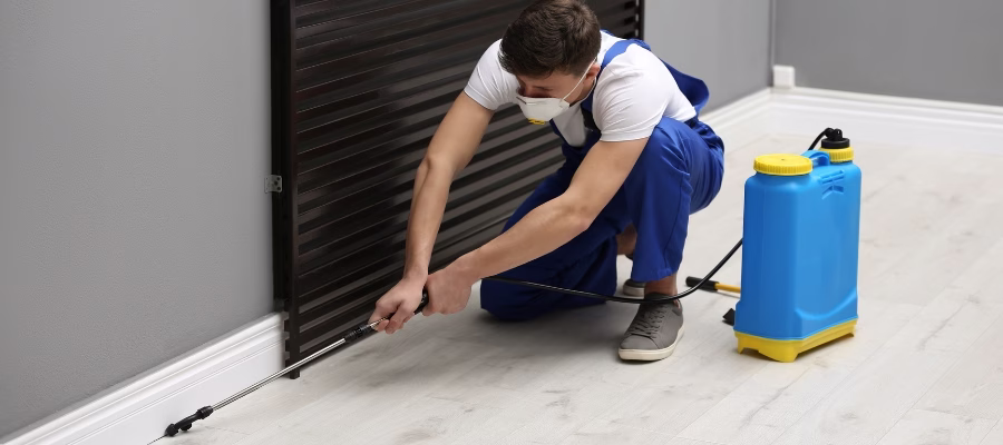 Pest Control Dana Point - Solutions for Homes and Businesses