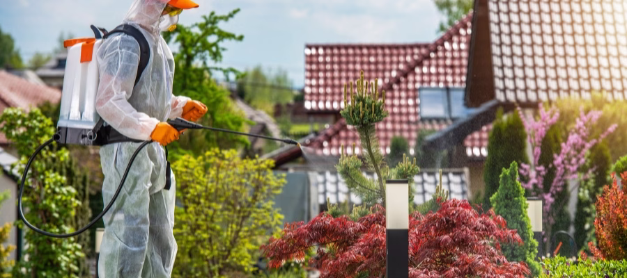 Pest Control Garden Grove - Services for Families and Businesses