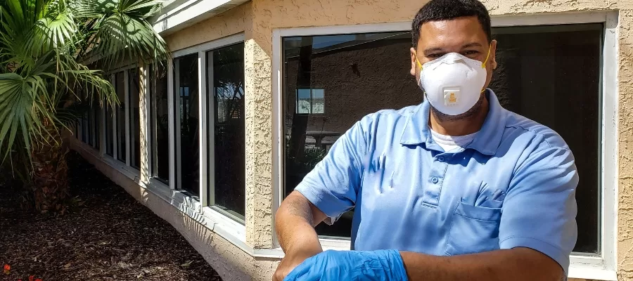 Pest Control Laguna Niguel - Professionals with Proven Results