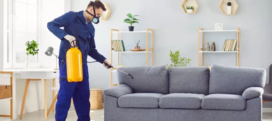 Pest Control Newport Beach - Expert Services for Coastal Properties