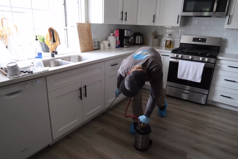 How Pest Control in San Clemente, CA Handles an Urgent Call